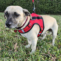 Thumbnail photo of WINTER #4