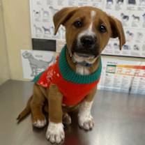 Thumbnail photo of Coffee #2