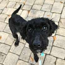 Thumbnail photo of Jessi #2