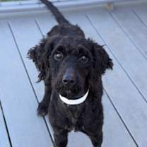 Thumbnail photo of Jessi #3