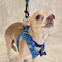 Thumbnail photo of NICKEY #2