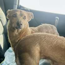 Thumbnail photo of Rylo #1