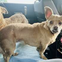 Thumbnail photo of Sophie #3