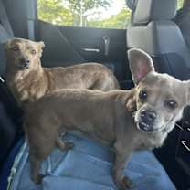 Thumbnail photo of Sophie #4