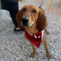 Thumbnail photo of Rodneisha  #1