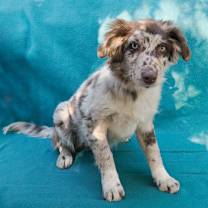 Thumbnail photo of PORSCHE #3