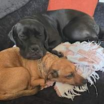 Thumbnail photo of Kali Mae #4