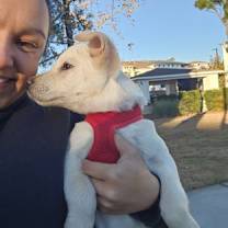 Thumbnail photo of Pearl #4