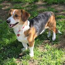 Thumbnail photo of BOSLEY #3