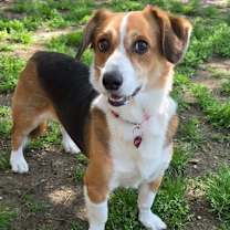 Thumbnail photo of BOSLEY #4