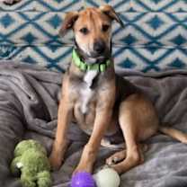 Thumbnail photo of Bono #1