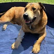 Thumbnail photo of Wendy (New Digs) #1