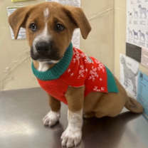 Thumbnail photo of Coffee #1