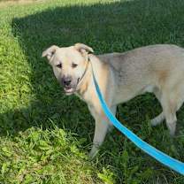 Thumbnail photo of McMuffin #1