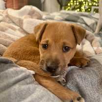 Thumbnail photo of Otis #3