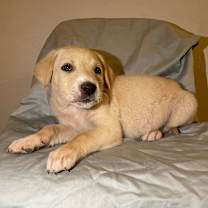 Thumbnail photo of Oakley #1