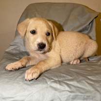 Thumbnail photo of Oakley #2