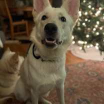 Thumbnail photo of Ghost #1