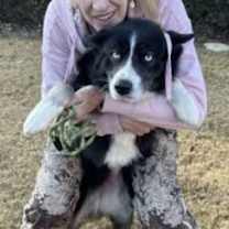 Thumbnail photo of Elsa #3