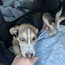 Thumbnail photo of Tony #2