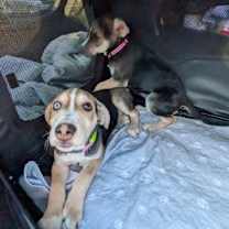 Thumbnail photo of Tony #3