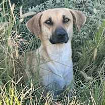 Thumbnail photo of March Gentry #4