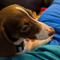 Thumbnail photo of Rei #2