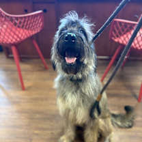 Thumbnail photo of Luna #3