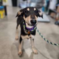 Thumbnail photo of Faith #2