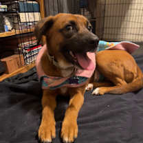 Thumbnail photo of Rosie Kay #1