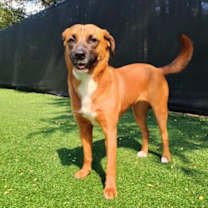 Thumbnail photo of Rosie Kay #4