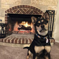 Thumbnail photo of Cora #1