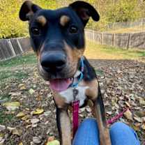 Thumbnail photo of Rocket #3