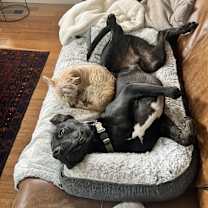 Thumbnail photo of Bo #3