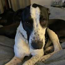 Thumbnail photo of Jackson #1