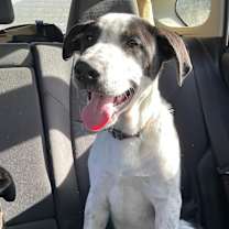 Thumbnail photo of Jackson #2