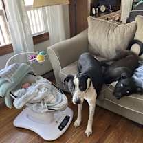 Thumbnail photo of Jackson #3