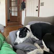 Thumbnail photo of Jackson #4