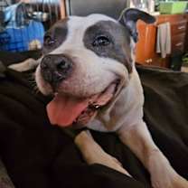 Thumbnail photo of Dalilah #4