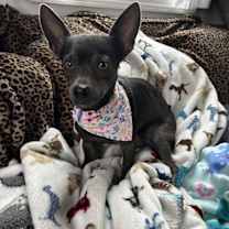 Thumbnail photo of Esme #2