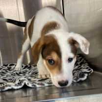 Thumbnail photo of JW Benson #3