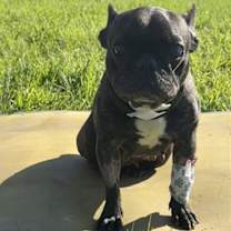 Thumbnail photo of CORA #1