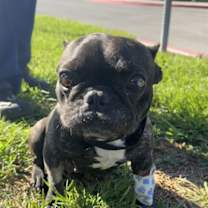 Thumbnail photo of CORA #3