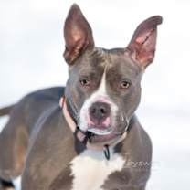 Thumbnail photo of Luna #1