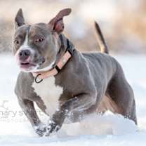 Thumbnail photo of Luna #2