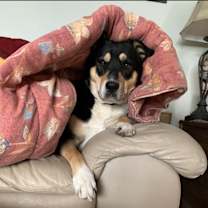 Thumbnail photo of Lucy #3