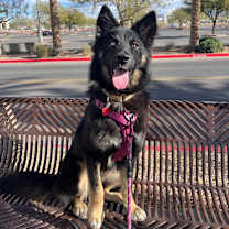 Thumbnail photo of Sara #1