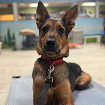 Thumbnail photo of Atlas #1