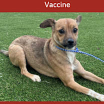 Thumbnail photo of 938 (2025) Mama Zora #3