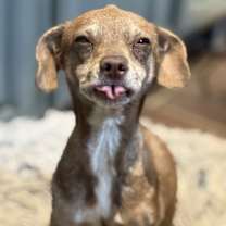 Thumbnail photo of Forsaken #4